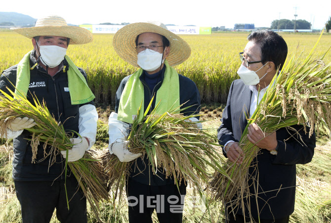 [포토] "올해 벼 농사 잘됐어요~"