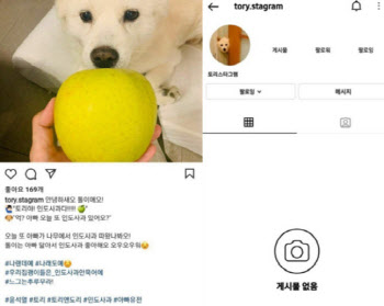 '반려견 사과' 지적에…윤석열 "직원이 올렸지만 제 불찰"