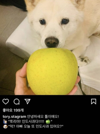 '개 사과' 찍은 장소도 오락가락…尹 “사무실”, 특보는 “강아지는 집에”