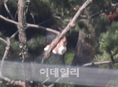 [포토]고 이건희 회장 1주기 참석한 이재용 부회장