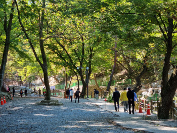 하천 정원화 사업 원조 '남양주 청학밸리리조트' 방문객 10만명 돌파