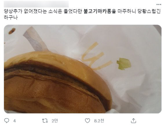 “불고기 마카롱?”...양상추 뺀 맥도날드 햄버거에 당황