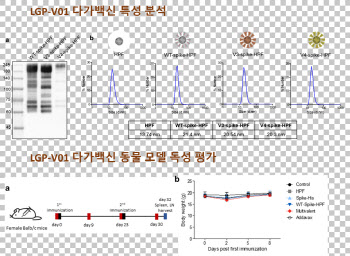 랩지노믹스, 코로나19 다가 백신 동물 실험서 효능 결과 확인