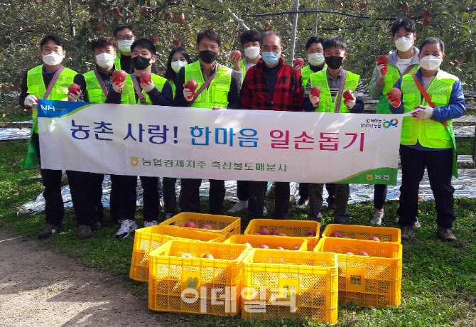 [포토] 농협축산경제, 농촌 일손돕기
