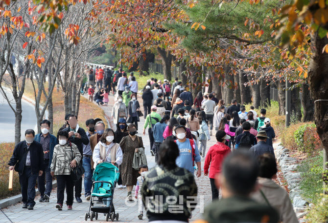 [포토]단풍놀이 나온 시민들