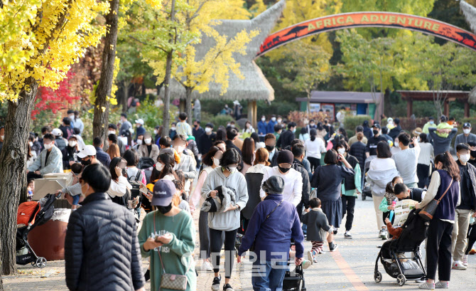 [포토]가을 정취 즐기러