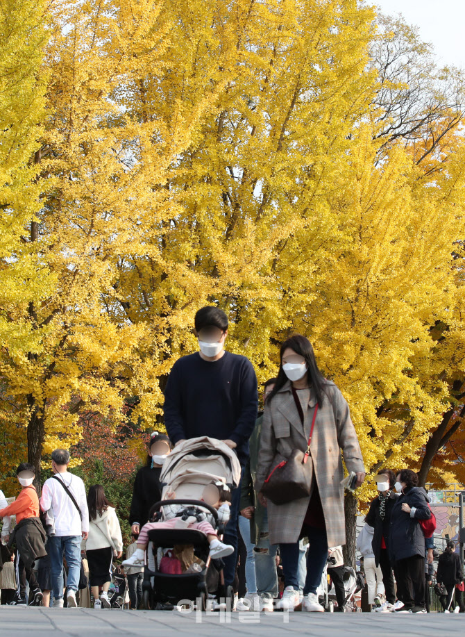 [포토]무르익어 가는 단풍, 산.공원마다 '인파'