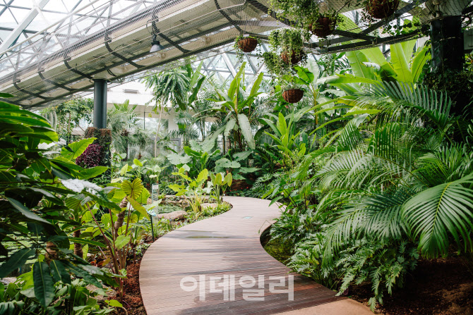 식물원 서울 서울식물원