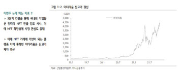 "기업 NFT 시장 진출 잇따라…중장기 접근 필요"