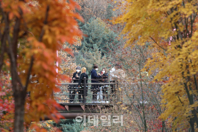 [포토]절기상 '입동' 날씨는 '가을'