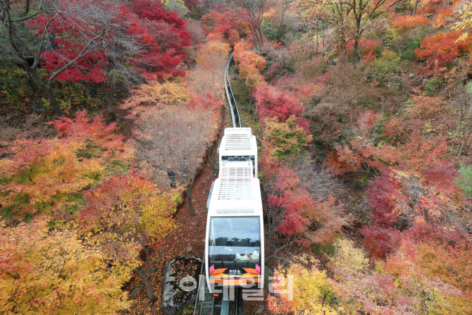 [포토]'입동' 붉게 타오르는 가을