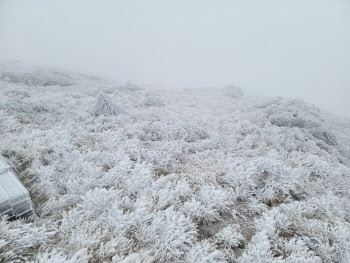 제주도 산지 대설주의보 발효