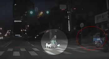 할머니에겐 긴 8차선…비상등 켜지더니 일어난 '기적'