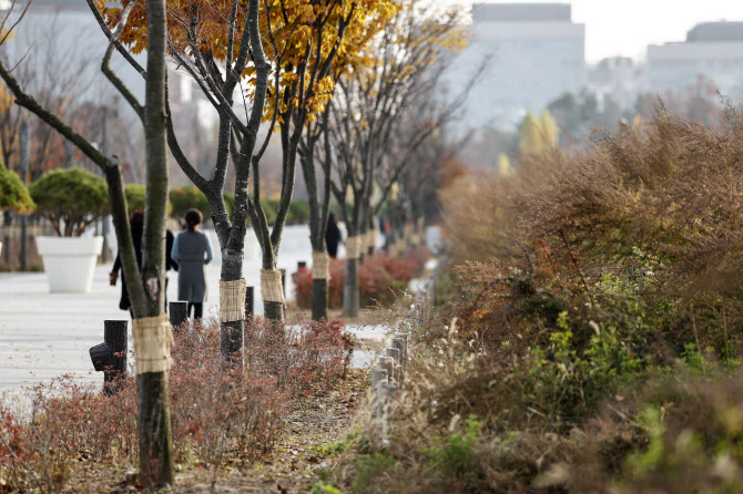 [내일날씨]전국 대체로 맑음…서울·인천 미세먼지 '나쁨'