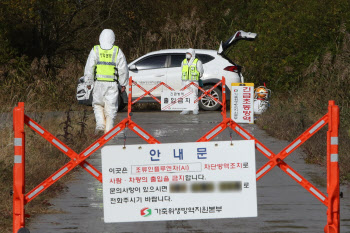 음성에서 또 고병원성 AI…가금농장 4곳서 확진