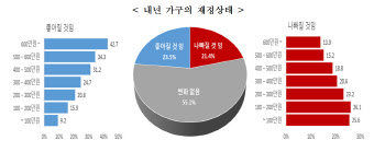 "내년엔 살림살이 나아진다"는 국민 10명 중 2명뿐