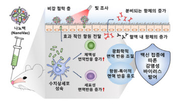 코에 접종하는 광민감성 나노백신 개발됐다