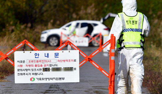 충북 음성 육계 농장 고병원성 AI 확진…올가을 7번째 발생
