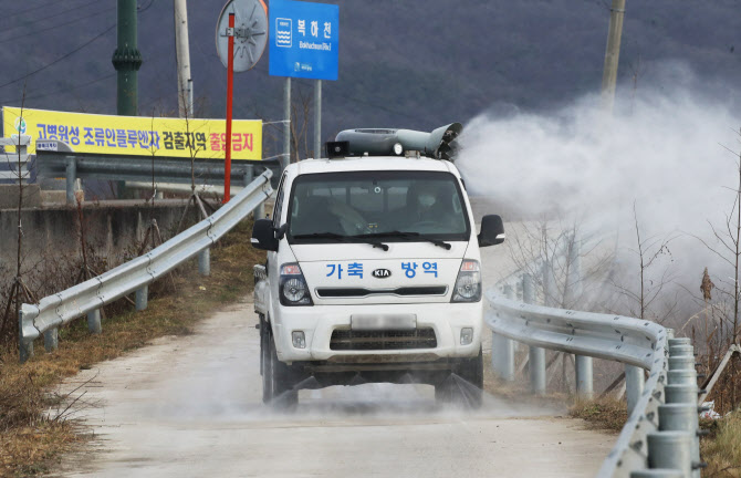 담양 육용오리농장 고병원성 AI 발생…농가 총 8건 확진