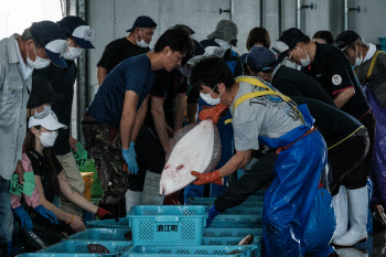 "후쿠시마 수산물 기피 심해질라"…日, 3000억원 들여 어민 지원