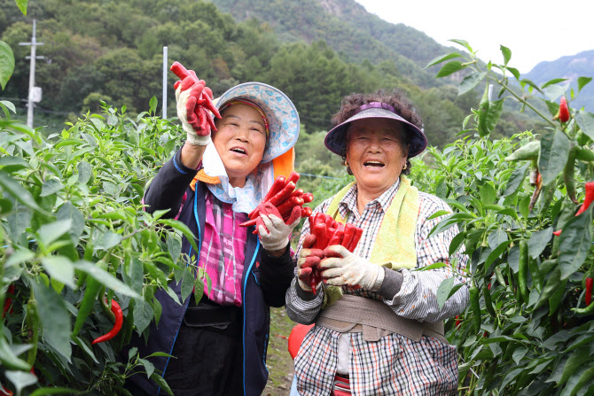 10월 15일 '여성농업인의 날' 법정기념일 지정