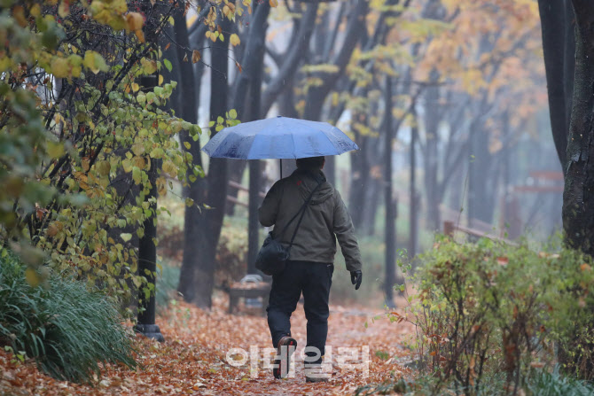 [포토]가을 가고 겨울