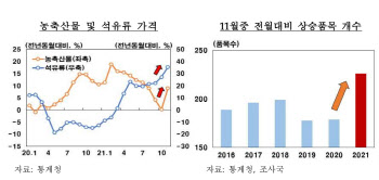 한은, 물가 연간 전망 상향 가능성…“채소값 뛰고 유류세 인하 덜 반영”