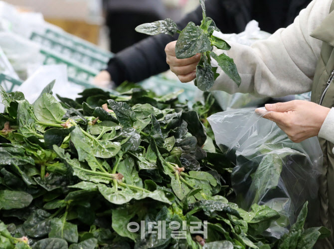 [포토]치솟는 가격에 겁나는 식탁물가