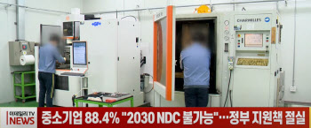 (영상)중소기업 88.4% "2030 NDC 불가능"…정부 지원책 절실