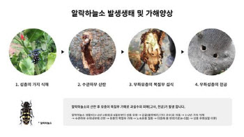 오케이엠텍, 농업진흥청 기술 제품화한 '천공성 해충 피해 방지제' 출시