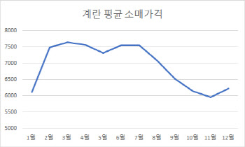 산란계 농장까지 퍼진 AI…겨우 안정됐던 계란값 다시 뛰나