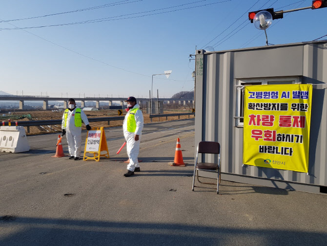 천안에서 또…산란계 농장 세 번째 고병원성 AI 확진