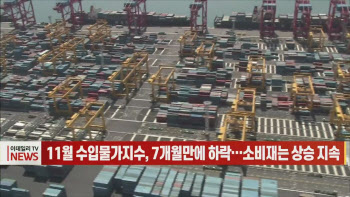 (영상)11월 수입물가지수, 7개월만에 하락…소비재는 상승 지속