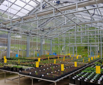 산림청, ‘자생식물 복원소재 공급체계 구축방안’ 수립