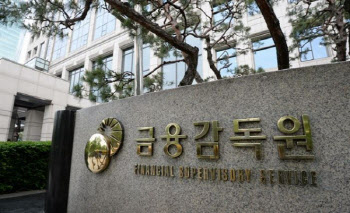 금감원 내년 예산 8.6%↑...증액폭 11배 증가한 이유