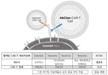 앱클론, CAR-T 세포치료제 국내 임상1/2상 IND 승인