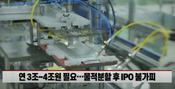 (영상)물적분할에 뿔난 개미…"다른 방법 없다"는 배터리사
