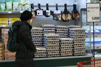 올해 소비자물가 2.5% 껑충…달걀·주유비·전셋값 다 올랐다(상보)