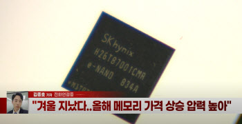 (영상)‘반도체의 해’ 되나…새해 삼성전자·SK하이닉스로 쏠린 눈