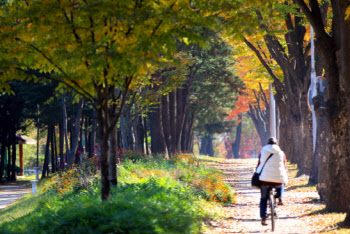 유휴토지에 새숲 만들고 국산목재 이용 늘린다