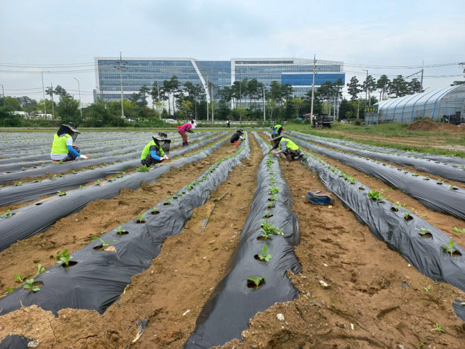 성남시, 지역공동체 일자리사업 344명 선발