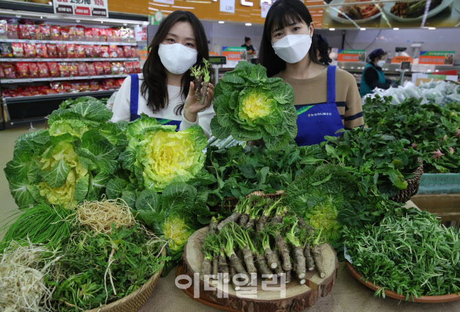 [포토] 농협유통, 봄나물 모음전
