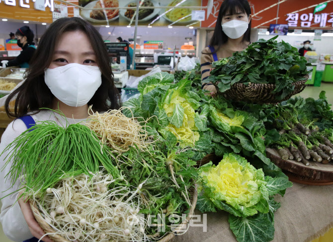 [포토] 봄나물 모음전