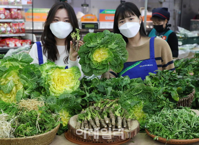 [포토] 한파 속 봄나물 모음전