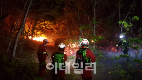 산림청, 14일 전국에 산불재난 국가위기경보 ‘관심’ 발령