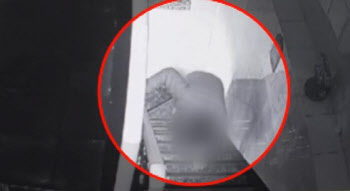 "이재명 제보자 CCTV 의심한 이수정, 범죄심리학자로서 양심있나"