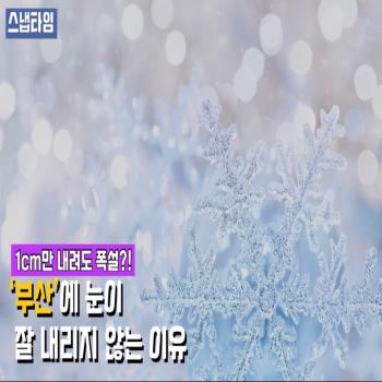 “1cm만 내려도 폭설?”...부산에 눈이 잘 내리지 않는 이유(영상)
