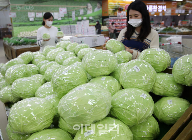 [포토] 채소류 가격 소폭 내림세