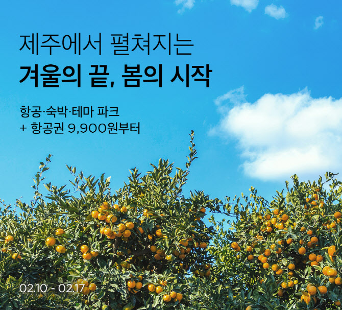 마켓컬리, 제주 항공·숙박권 최저가 세일