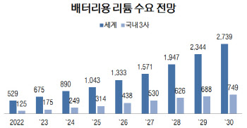 'K-배터리' 글로벌 패권 장악, '원료 확보'에 달렸다